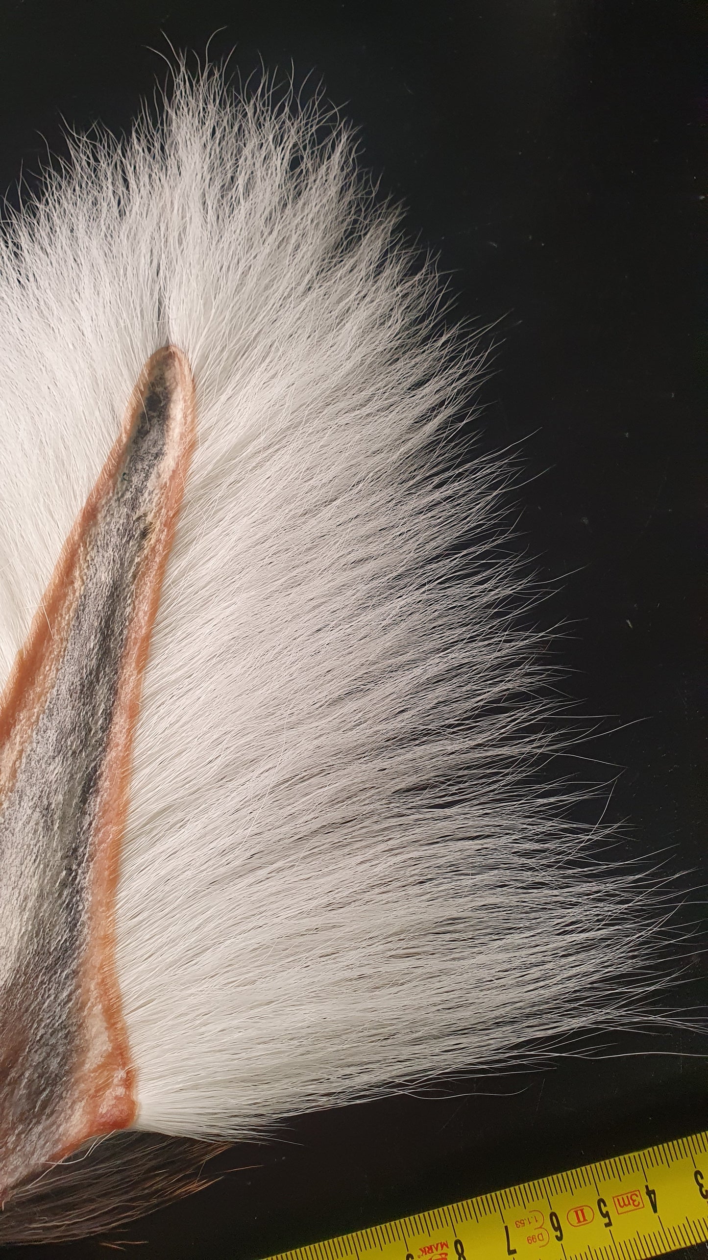 Bucktail,superb and long hair,selfmade.
